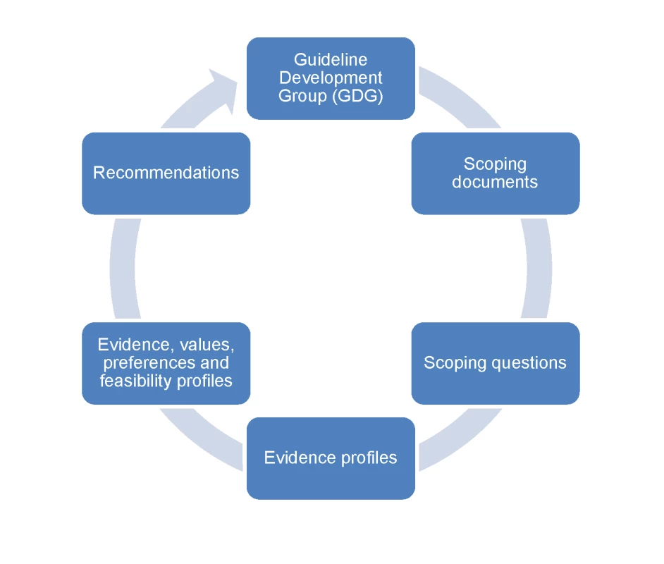 Pathway describing the process of recommendation development.