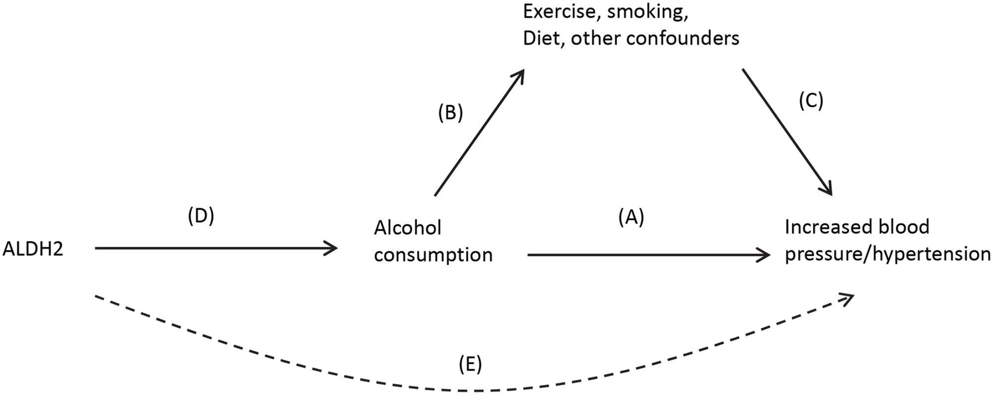 Causal pathway indicating how ALDH2 is an unconfounded marker (or instrument) of alcohol consumption in the association between alcohol and blood pressure.