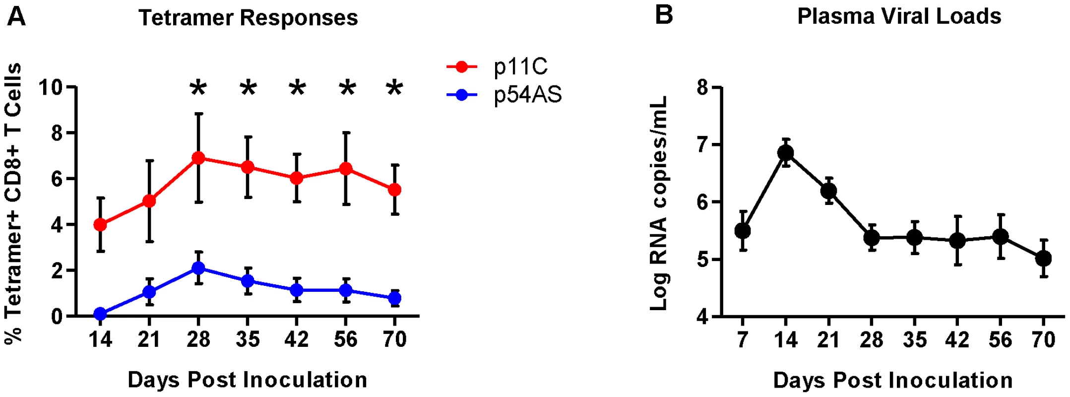 Frequencies of p11C- and p54AS-specific CD8<sup>+</sup> T cells and plasma viral loads during primary infection.
