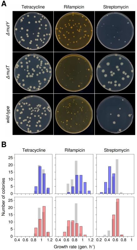 Mutational spectrum effects on generation of antibiotic-resistant mutants of wild-type and mutator <i>E. coli.</i>