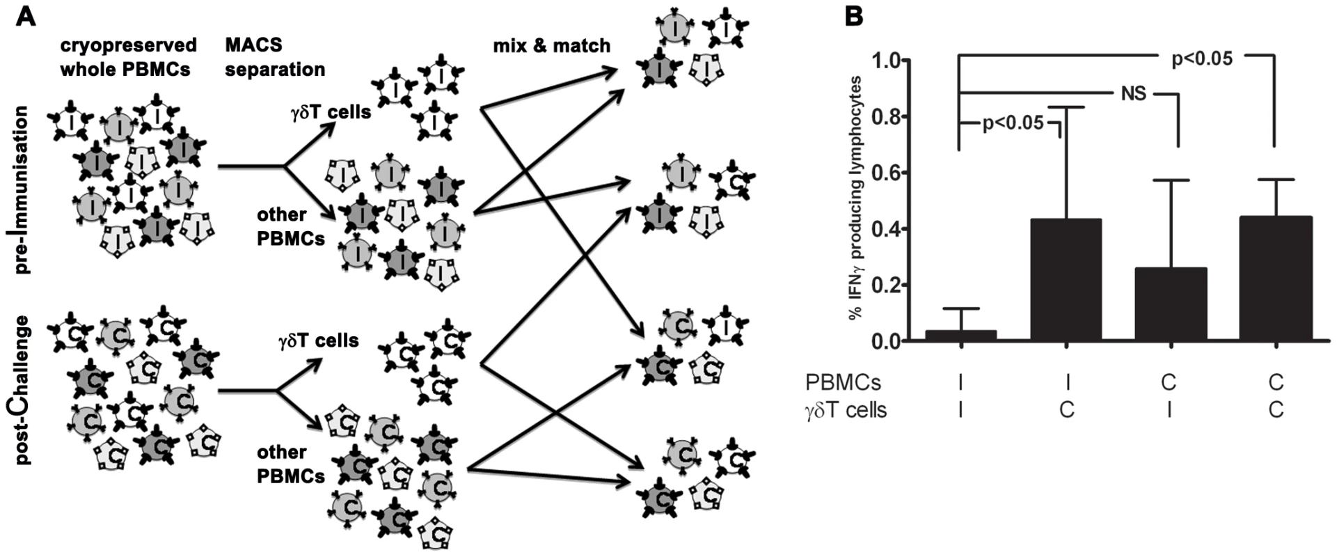 Immunological memory carriage by the γδT compartment vs other PBMC.