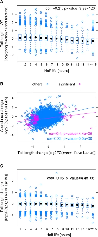 Correlations of mRNA features with poly(A)-tail length in wild type and with the extend of poly(A)-tail length change in <i>paps1</i> mutants versus wild type.