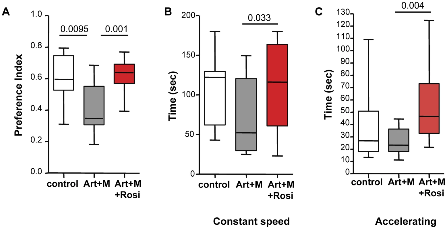 Mice treated with rosiglitazone adjunctive therapy perform better in the novel object recognition and rotarod tests.