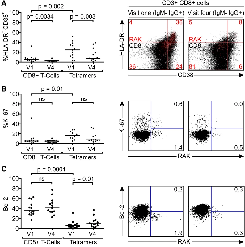 Activation, proliferation and Bcl-2 status of total and EBV-specific CD8+ T-cells in VCA IgM-IgG+ EBV infected Gambian children.
