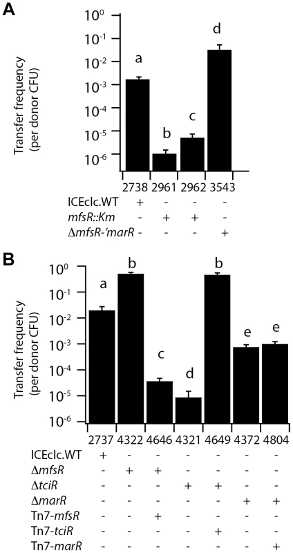ICE<i>clc</i> transfer frequencies from <i>P. putida</i> UWC1 donors with different ICE<i>clc</i> genotypes.