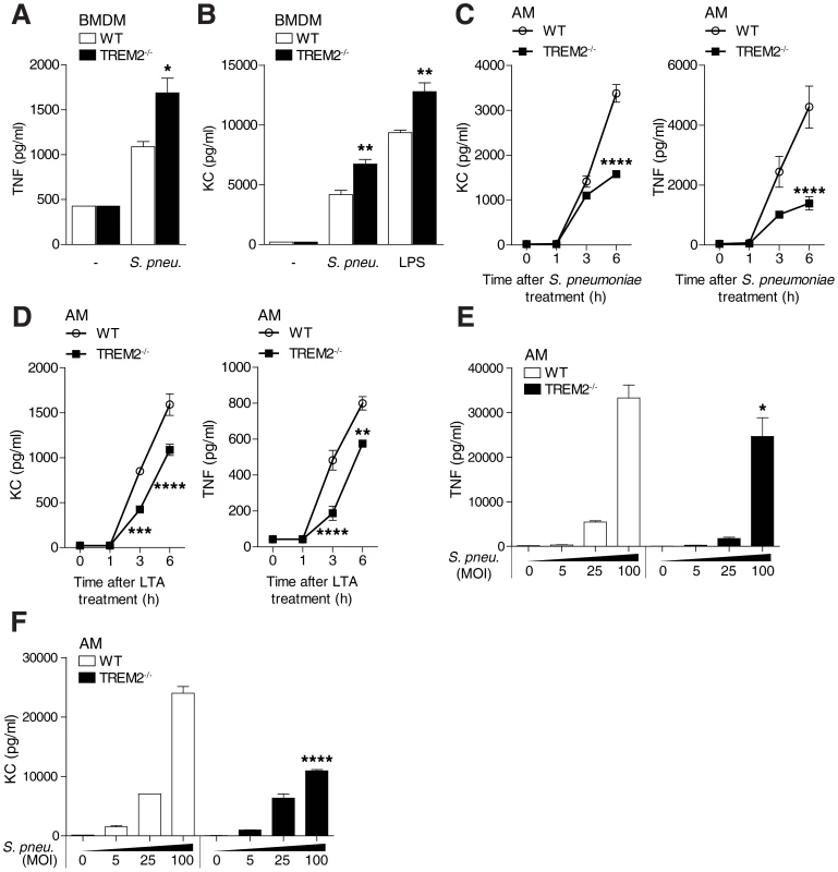 Cell type specific effects of TREM-2 on <i>S. pneumoniae</i> and TLR2 mediated cytokine production.