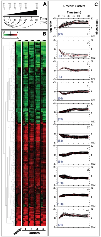 Global changes of Nm gene expression in human whole blood.