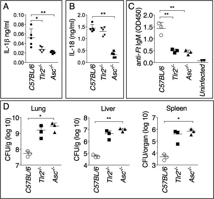 Generation of protective anti-<i>Ft</i> LPS IgM is dependent on TLR2 and inflammasome.