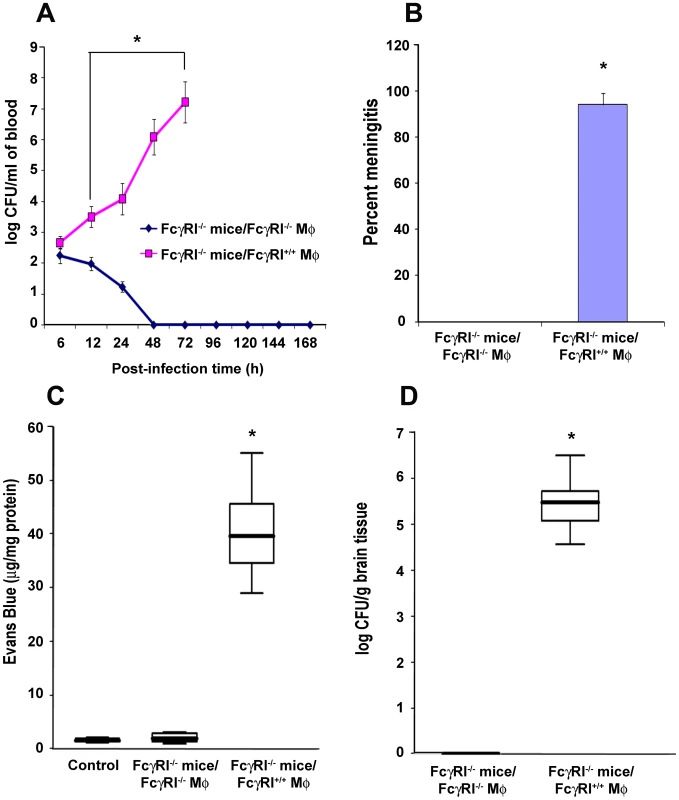 Adoptive transfer of FcγRIa<sup>+/+</sup> MØ into FcγRIa<sup>−/−</sup> mice restored the susceptibility to <i>E. coli</i> K1 meningitis.
