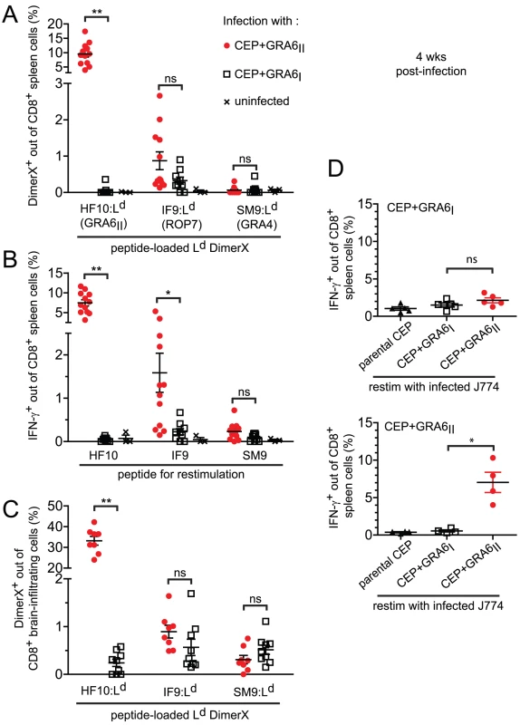 Immunodominance, but not immunodomination, of the GRA6<sub>II</sub>-derived HF10 peptide during chronic stage.