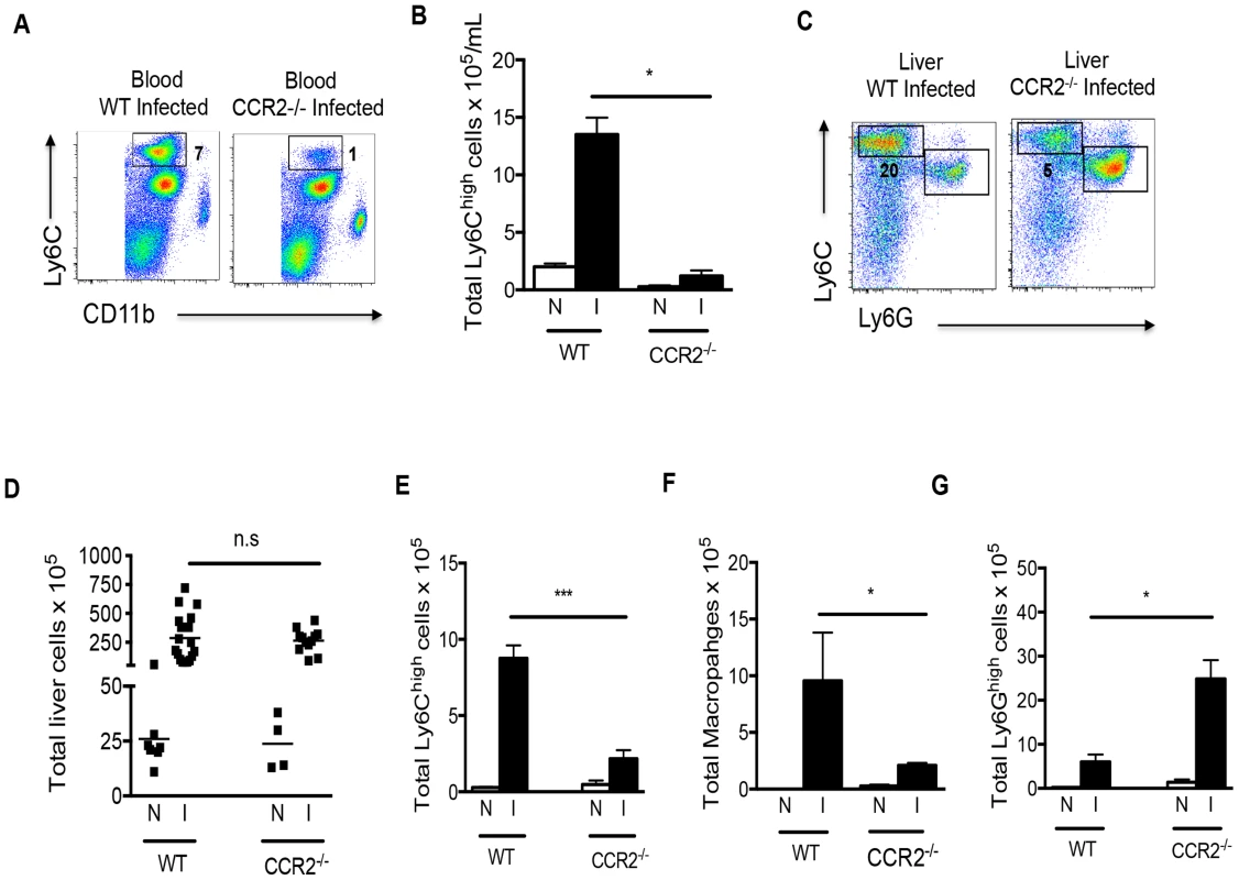 Infection induced monocytosis and increases in macrophage numbers within the liver are CCR2-dependent.