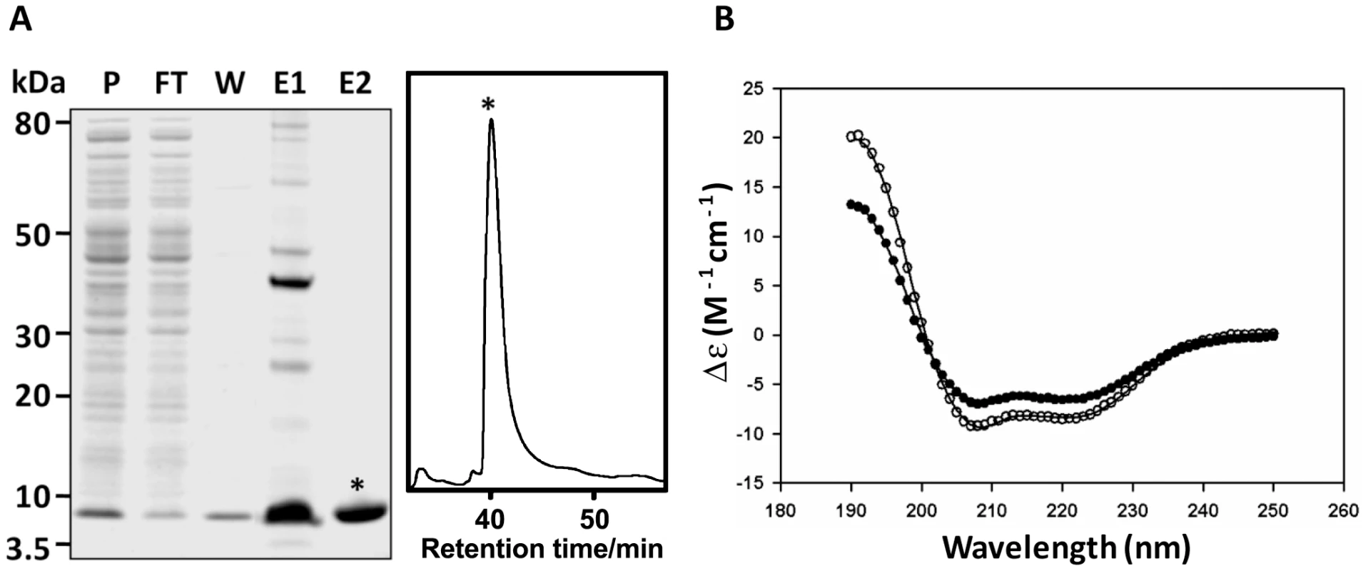 Expression and CD spectroscopy of recombinant FhHDM-1.