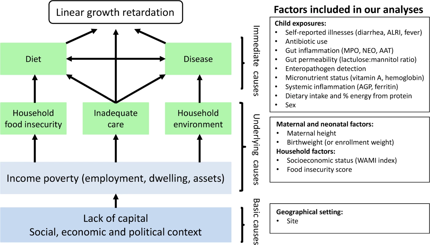 Modified version of the UNICEF malnutrition conceptual hierarchical framework and the maternal and household factors and childhood environmental exposures included in our analyses.