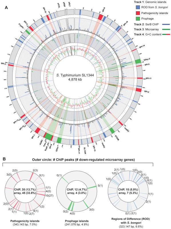 Genome-wide functional genomics analyses for SsrB.