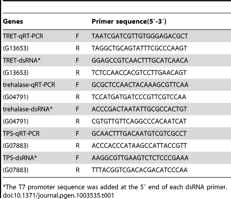 Primers used for dsRNA and real time PCR.