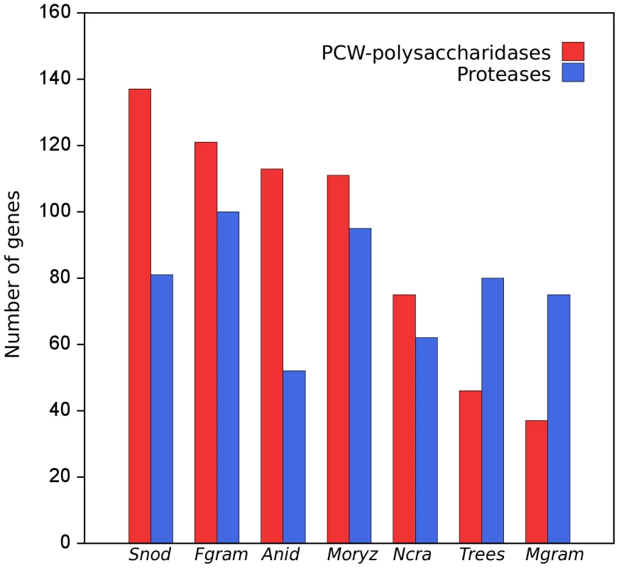 Numbers of genes for proteases and plant cell wall (PCW) degrading polysaccharidases in the genomes of seven fungi with sequenced genomes.