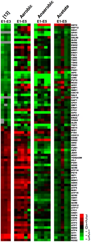 88 Genes that Show “Enhanced Pasteur Effect” from Ferea <i>et al.</i>
