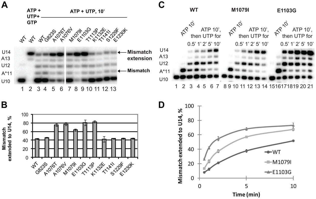 Mismatch extension by Pol II variants carrying mutations in Rpb1.