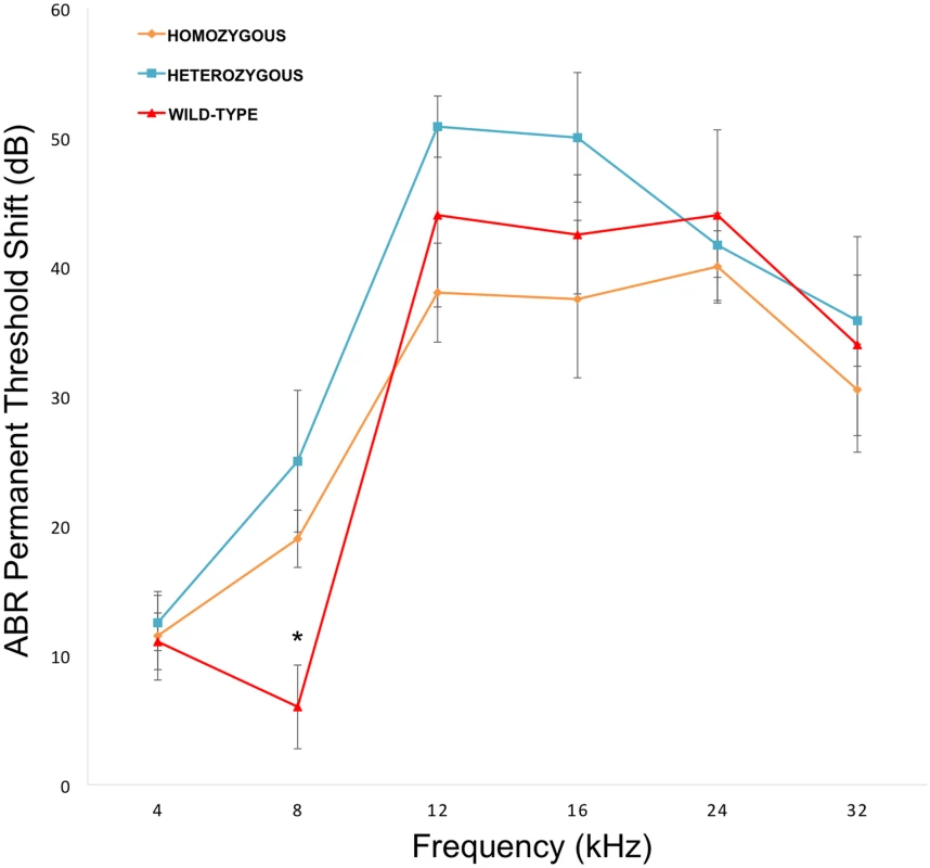 <i>Nox3</i><sup>het</sup> mice have greater PTS (permanent threshold shift) for 8 kHz.