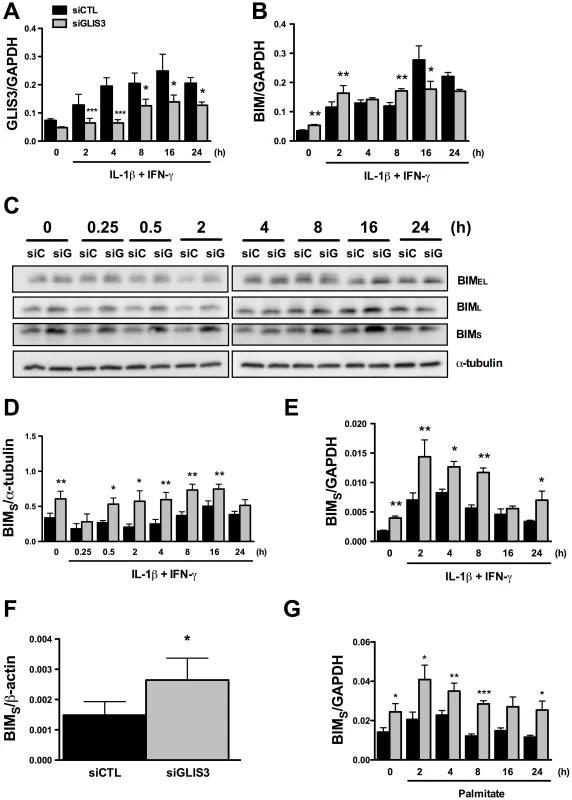 <i>GLIS3</i> KD induces <i>Bim</i> expression in INS-1E and human dispersed islet cells.