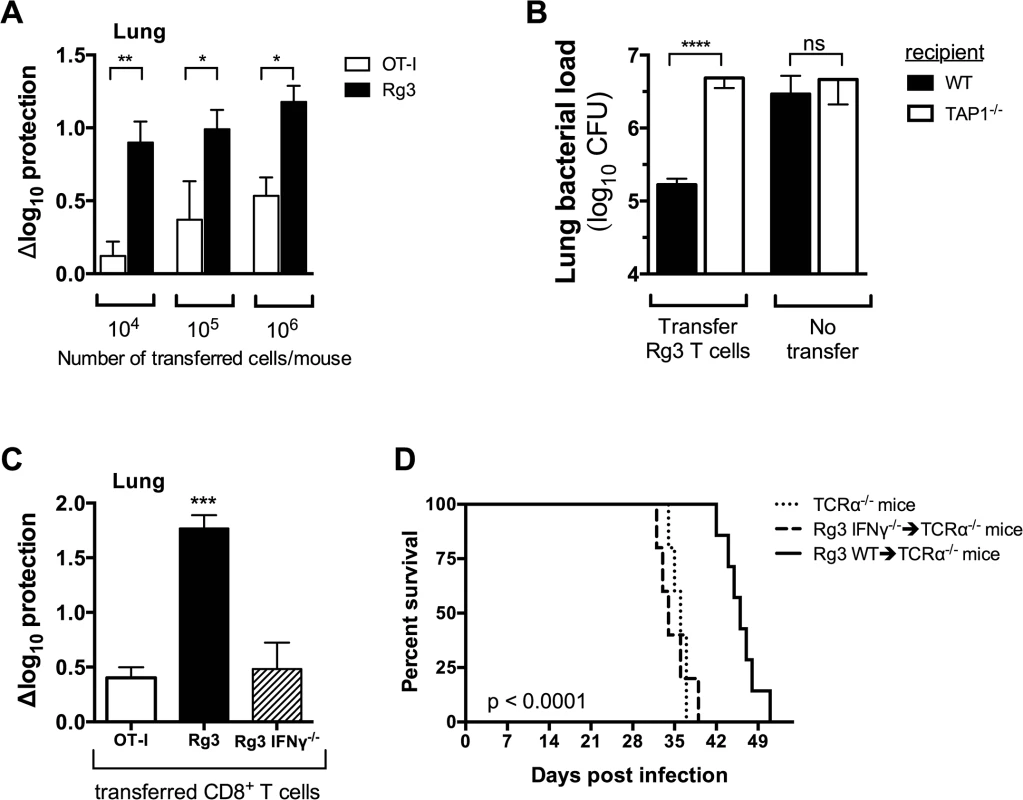 TAP1 and IFNγ are required for protection mediated by TB10-specific CD8+ T cells.