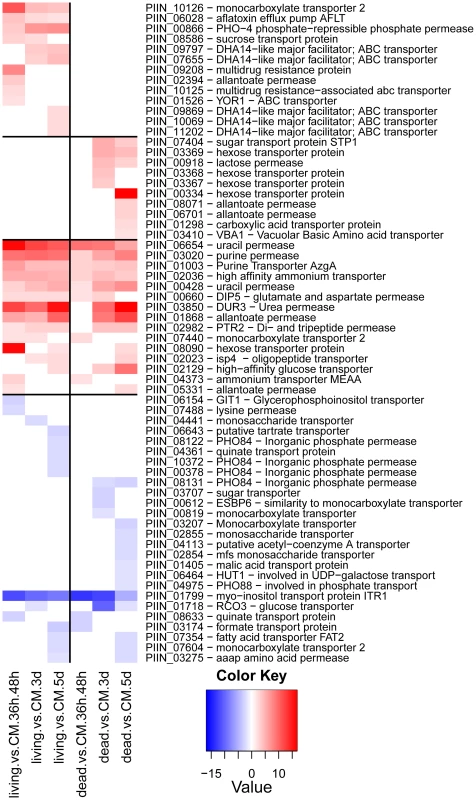 Plant responsive transporters in the genome of <i>P. indica</i>.