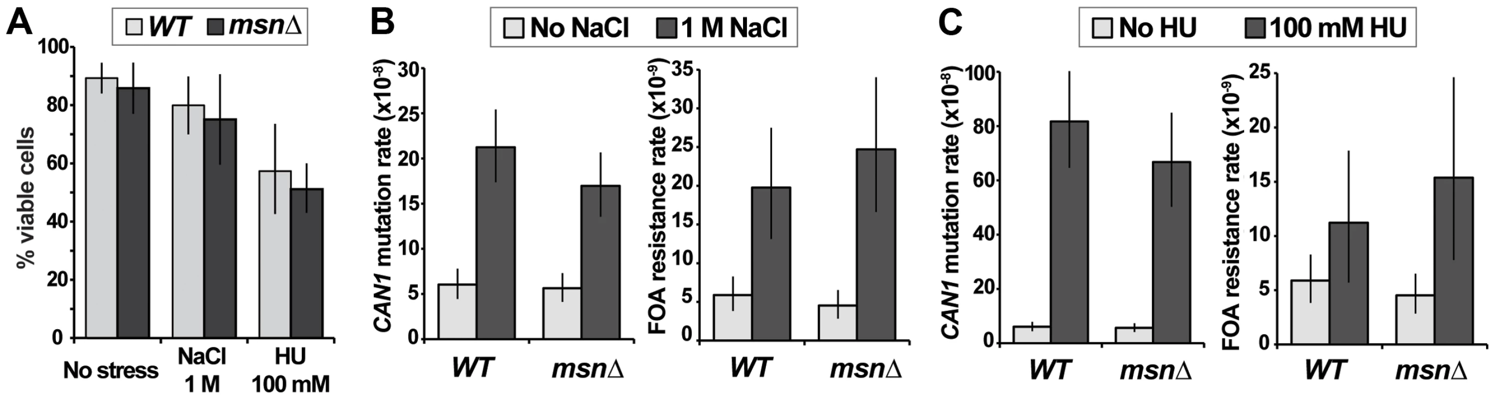 Two types of environmental stress known to cause mutagenesis do not require <i>MSN2</i> and <i>MSN4</i>.