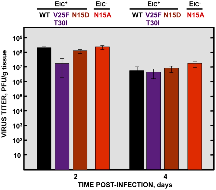 Effects of SARS-CoV E protein IC activity on virus growth in BALB/c mice lungs.