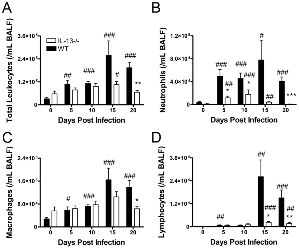 IL-13 deficiency reduces airway inflammation during <i>Chlamydia muridarum</i> (<i>Cmu</i>) lung infection.