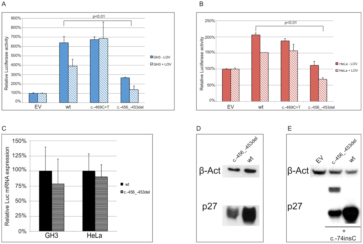 The c.-456_-453delCCTT affects protein translation by reducing reinitiation.