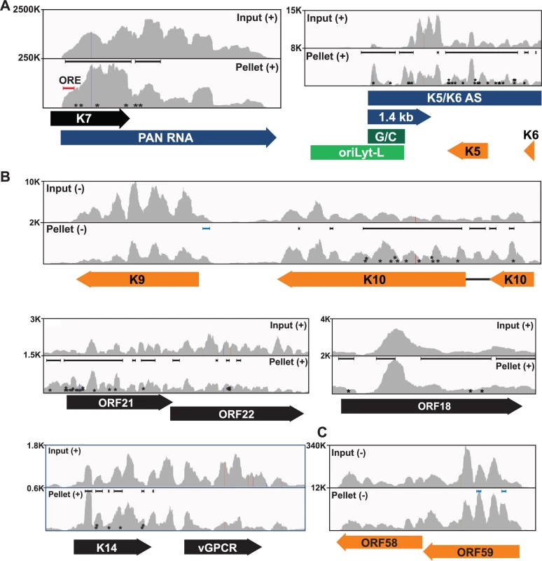 Sequence reads across various viral genomic loci.