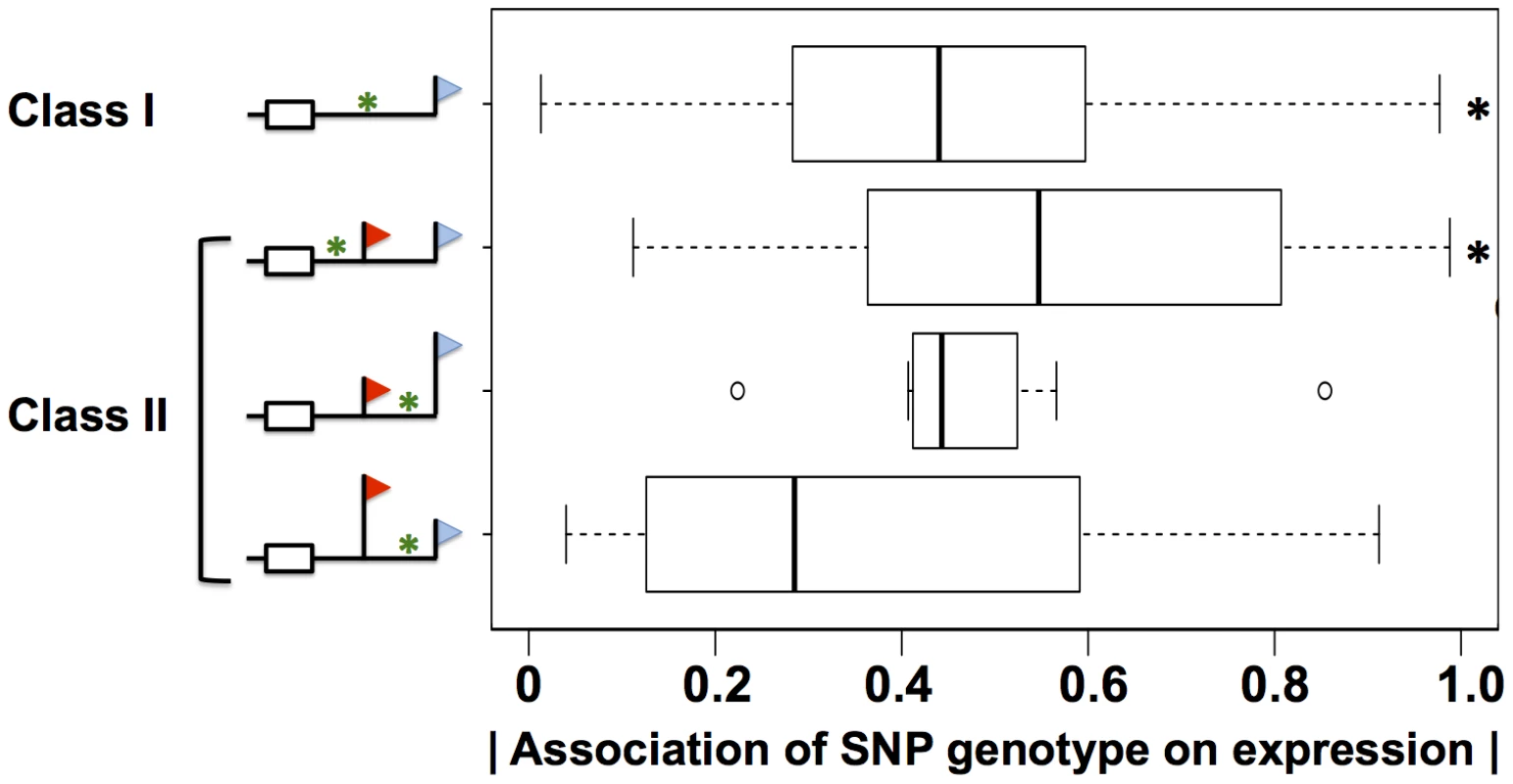 Sequence variation in 3′ motifs as a predictor of expression change across human individuals.