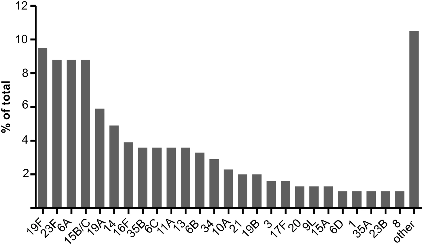 Serotype distribution in field samples.