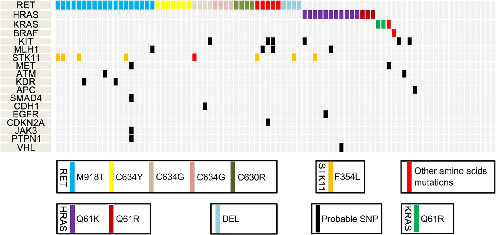 Mutational profiles of medullary thyroid cancer (MTC), as identified by next-generation sequencing.
