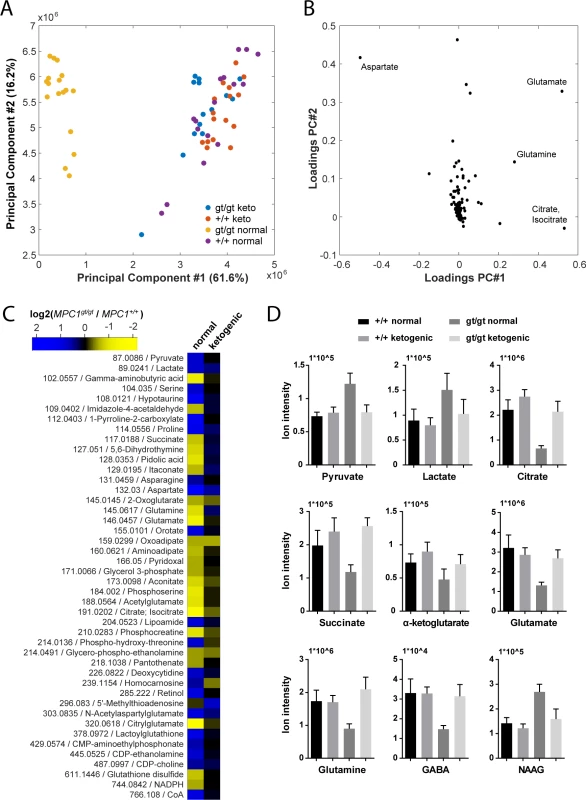 Pleiotropic alterations in the <i>MPC1</i><sup><i>gt/gt</i></sup> E13.5 brain metabolome are rescued by a ketogenic diet.