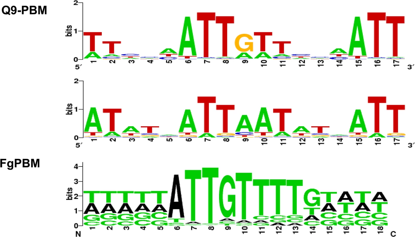 The determined consensus binding sequences according to two PBM analyses (Q9-PBM and FgPBM).