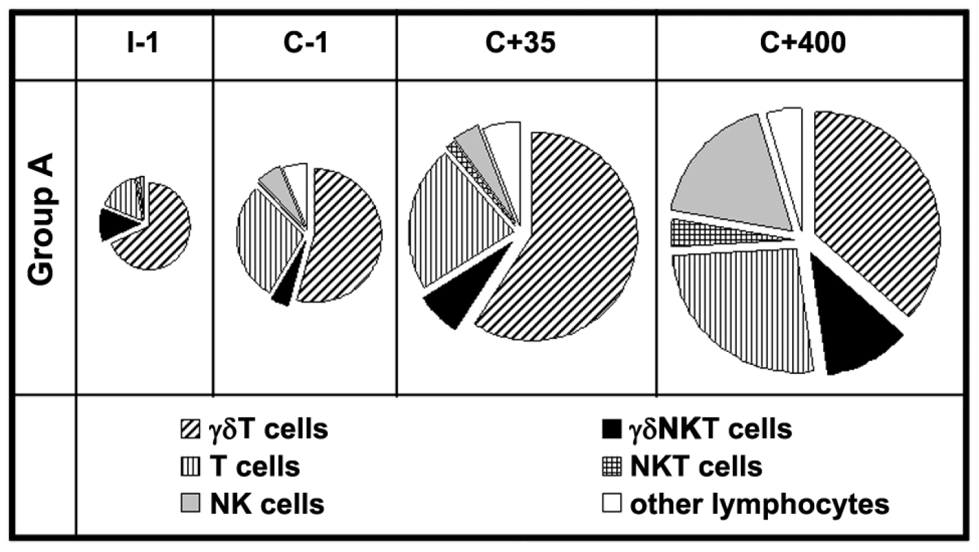 Contribution of innate, semi-innate and adaptive lymphocyte subsets to the total IFNγ<sup>+</sup> response to <i>Pf</i>RBC.