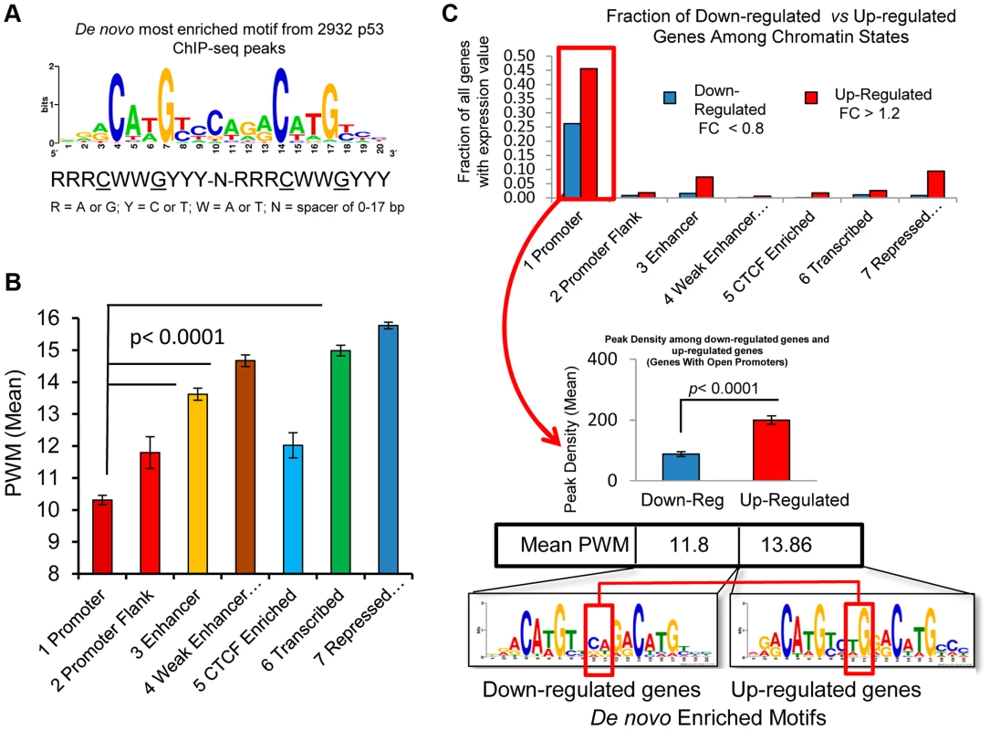 p53 binding occurs at a highly conserved motif and sequence content affect p53 transactivation.