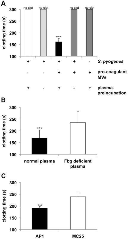 Pro-coagulant MVs bound to <i>S.</i> <i>pyogenes</i> induce clotting in human plasma.
