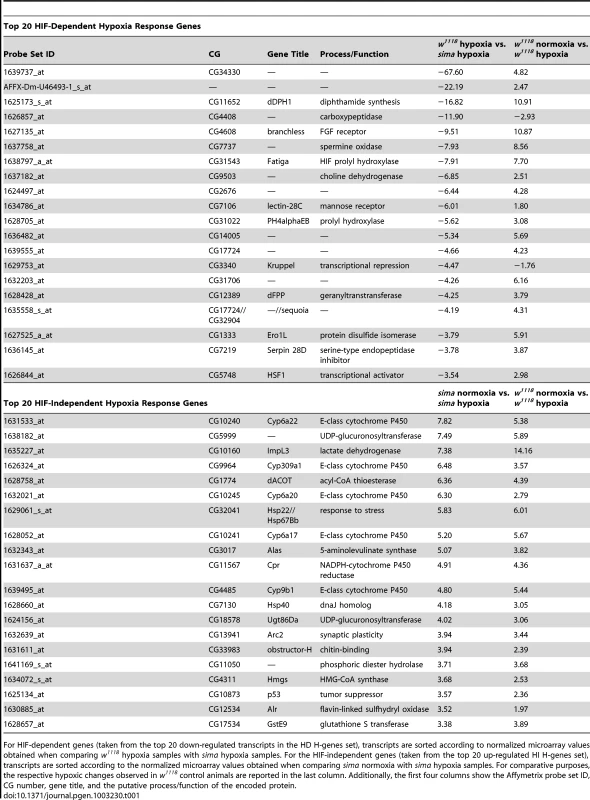 List of 20 top transcripts whose expression changes in response to hypoxic challenge in a dHIF-dependent or -independent fashion.
