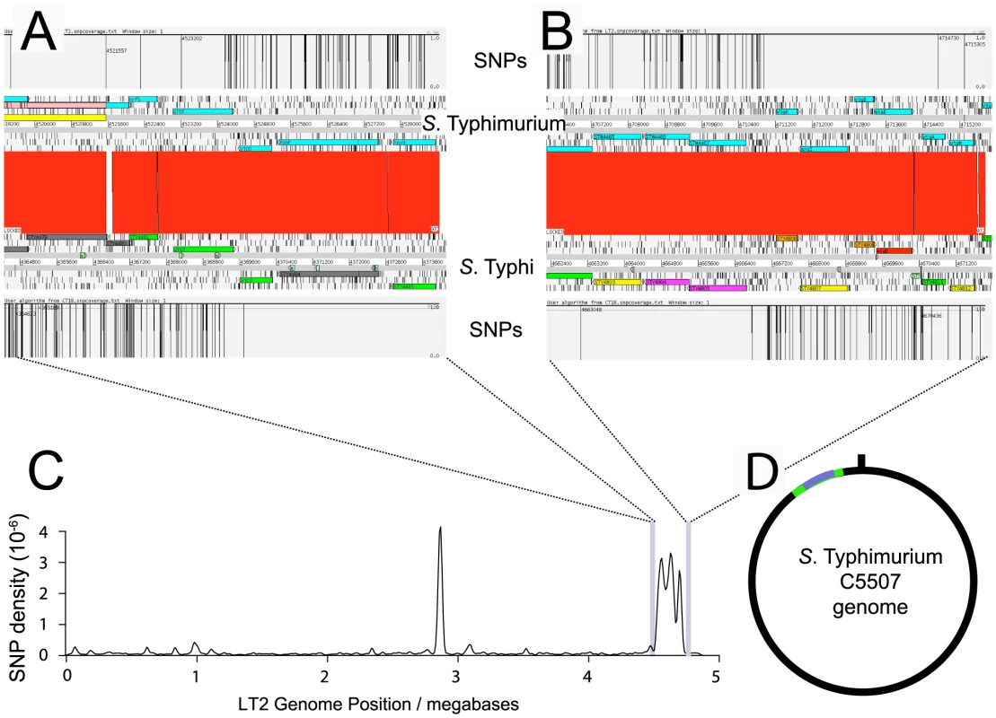 SNP density of <i>S.</i> Typhimurium C5.507 Vi<sup>+</sup> mapped to <i>S.</i> Typhimurium LT2 and <i>S.</i> Typhi CT18.