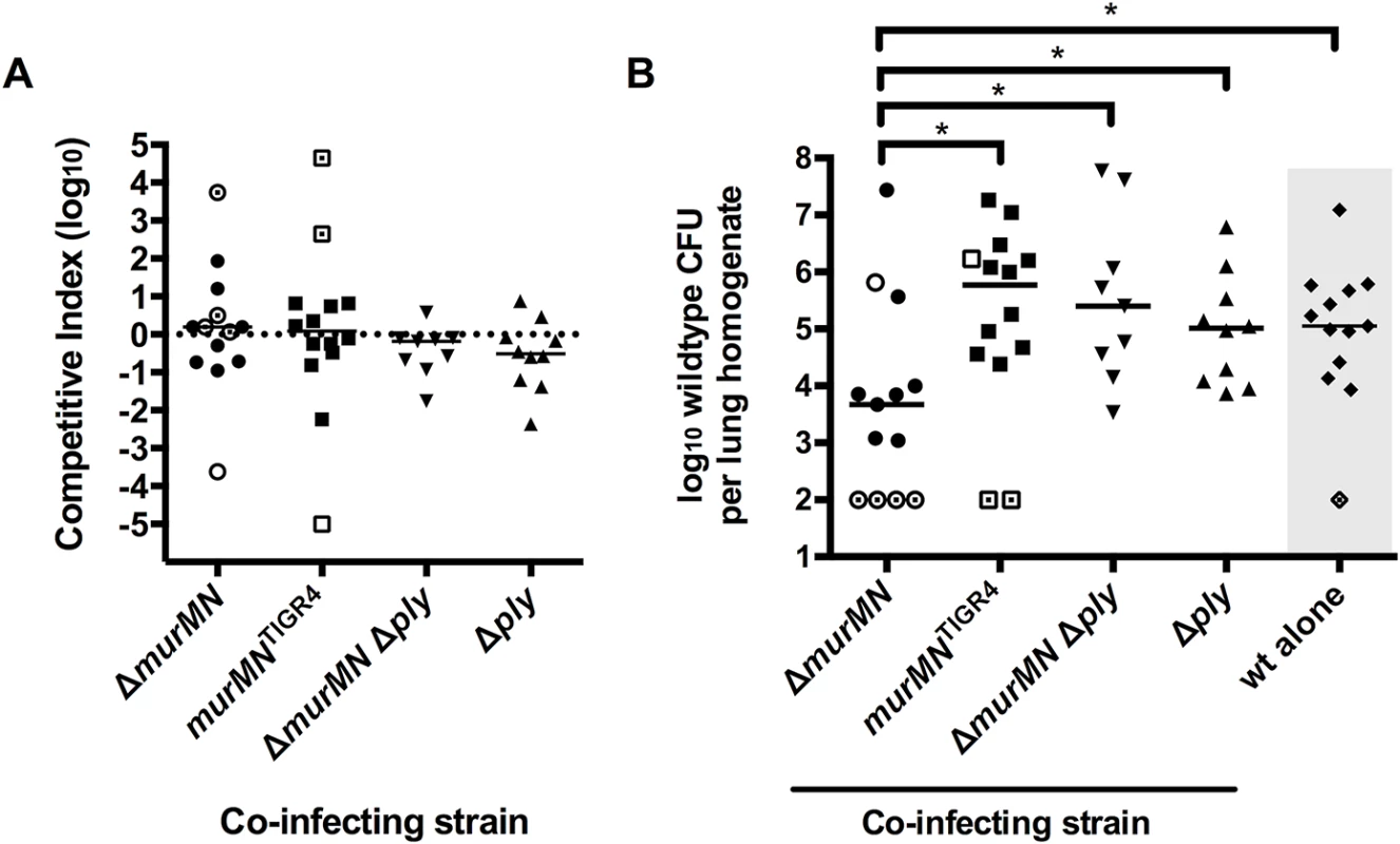 Co-infection with Δ<i>murMN</i> decreases wt burdens in a Ply-dependent manner.