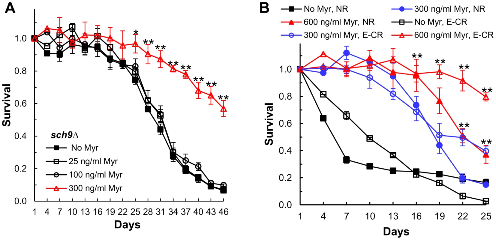 Myriocin enhances CLS by mechanisms that are independent of Sch9 and caloric restriction.