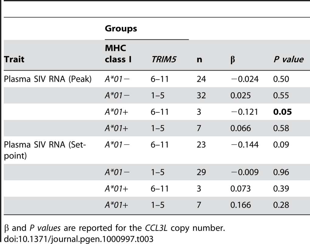 Comparison of the regression coefficient (β) values and the significance of <i>CCL3L</i> copy number from rhesus monkeys expressing various combinations of both <i>Mamu-A*01</i> and <i>TRIM5</i> alleles.