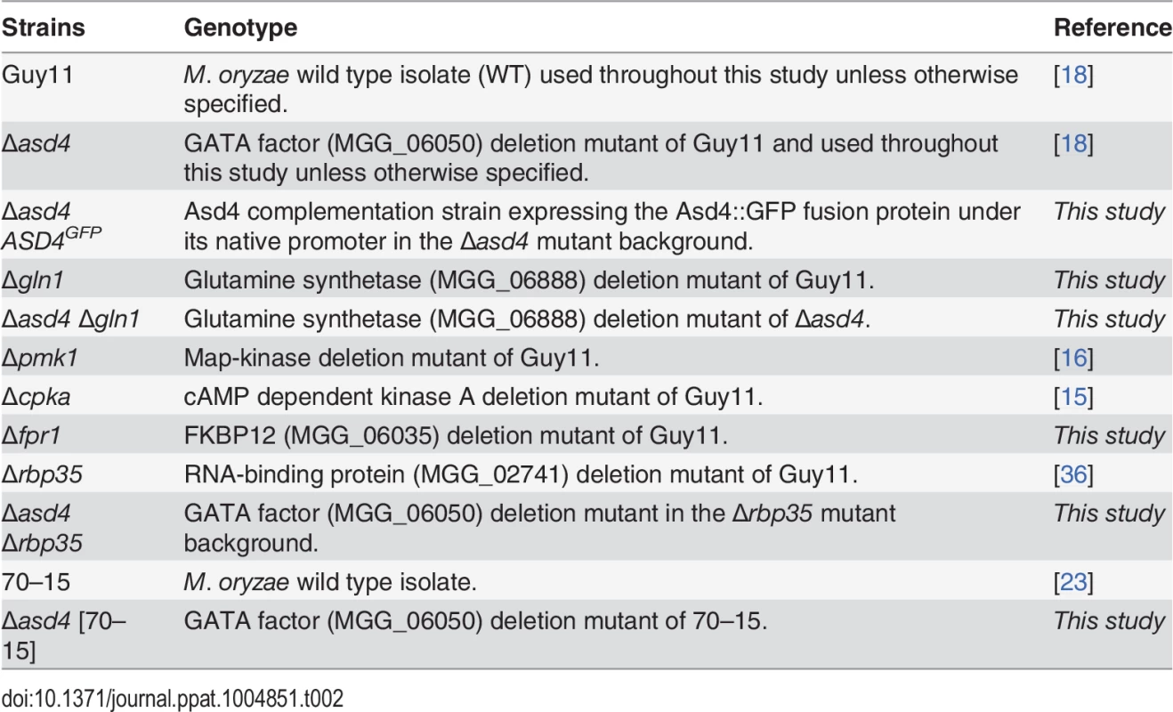 &lt;i&gt;Magnaporthe oryzae&lt;/i&gt; strains used in this study.