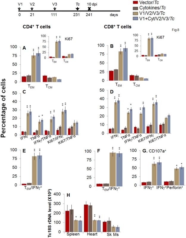 Booster-immunized mice expand the recall T cell response capable of controlling <i>T</i>. <i>cruzi</i> infection at 120 days post bi.