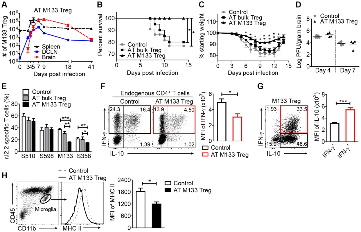 Transferred M133 Tregs enhance survival and diminish the M133 Tconv immune response in the brain.