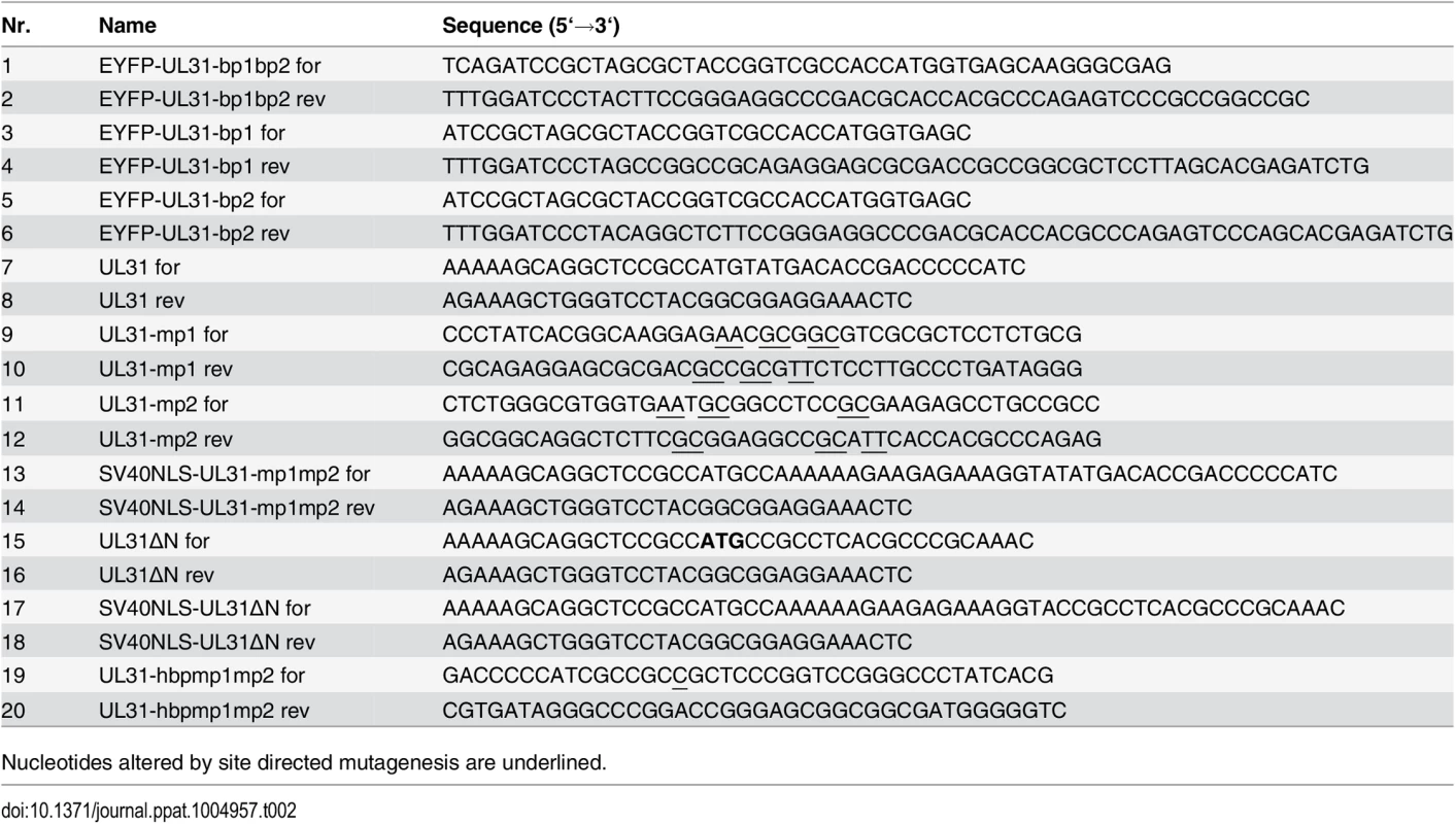 Oligonucleotides used for general cloning and site-directed mutagenesis.