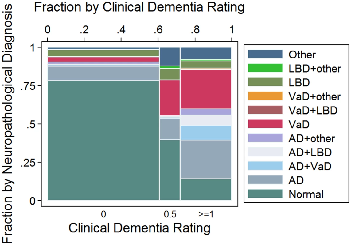 Mosaic plot showing the relationship between neuropathological classification and dementia status according to the Clinical Dementia Rating (CDR) scale: CDR = 0: No dementia; CDR = 0.5: Questionable dementia; And CDR ≥ 1: Dementia.
