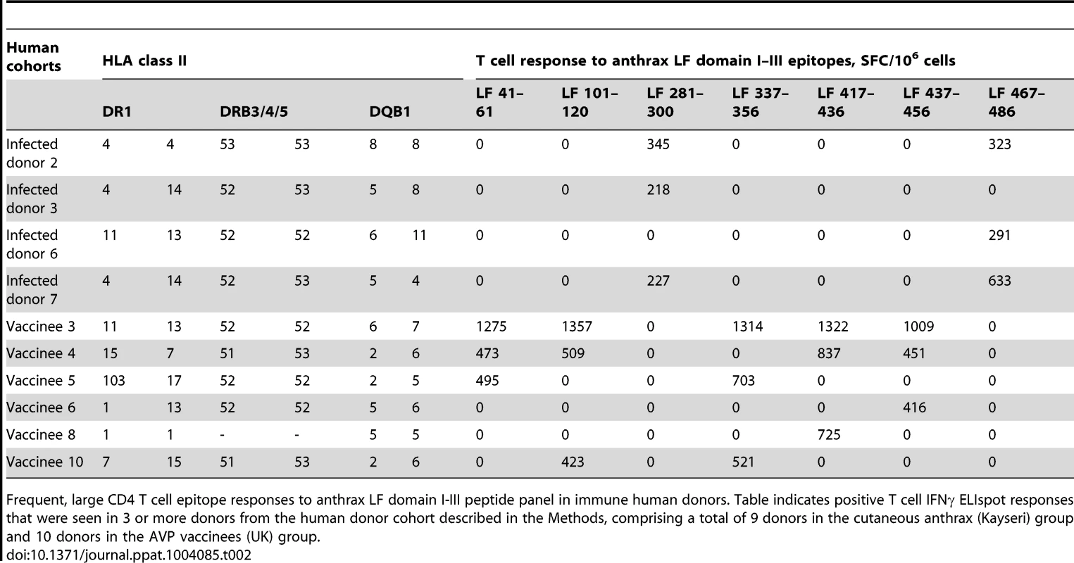 Frequent, large CD4 T cell epitope responses to anthrax LF domain I–III peptide panel in immune human donors.